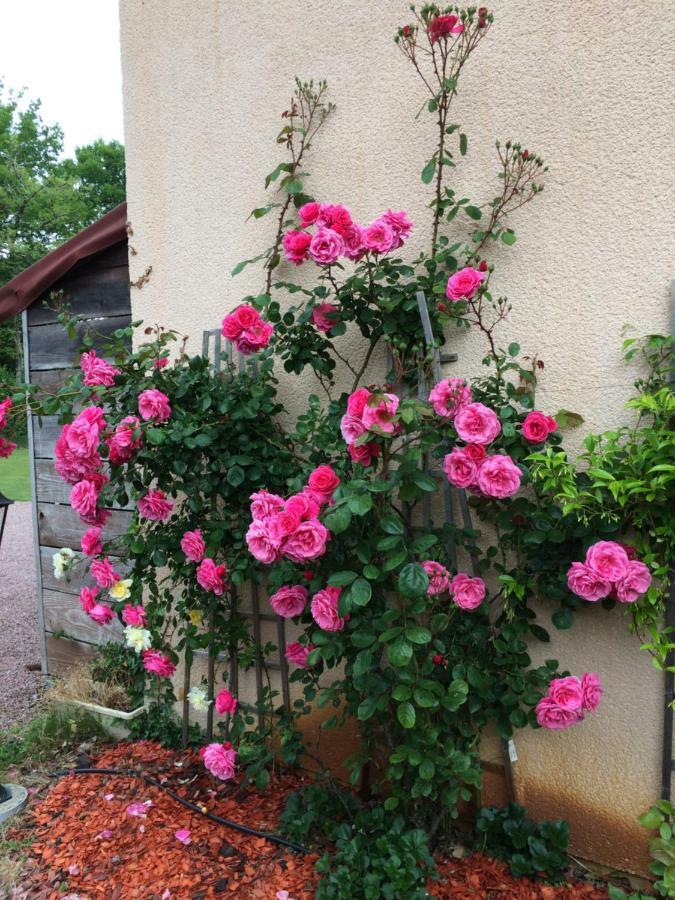 Bed and Breakfast La Mimona Sainte-Eulalie-en-Born Exterior foto
