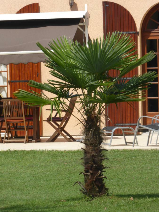 Bed and Breakfast La Mimona Sainte-Eulalie-en-Born Exterior foto